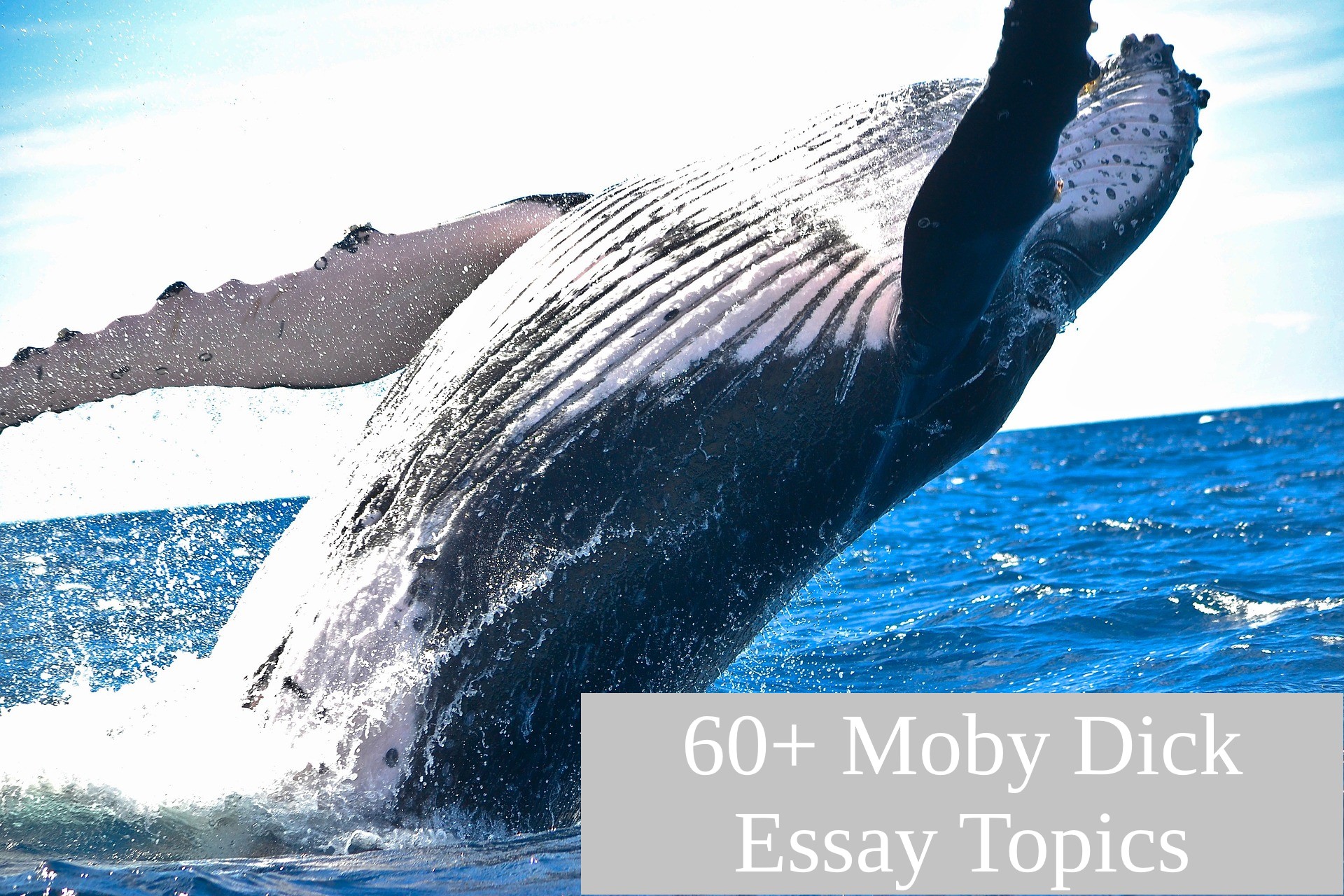 Moby Dick Essay Topics
